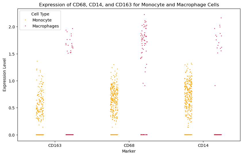 _images/an_bone_marrow_cell_subtype_prediction_51_0.png